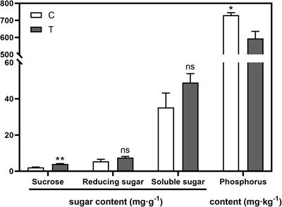 Arbuscular Mycorrhizal Fungus Alters Root System Architecture in Camellia sinensis L. as Revealed by RNA-Seq Analysis